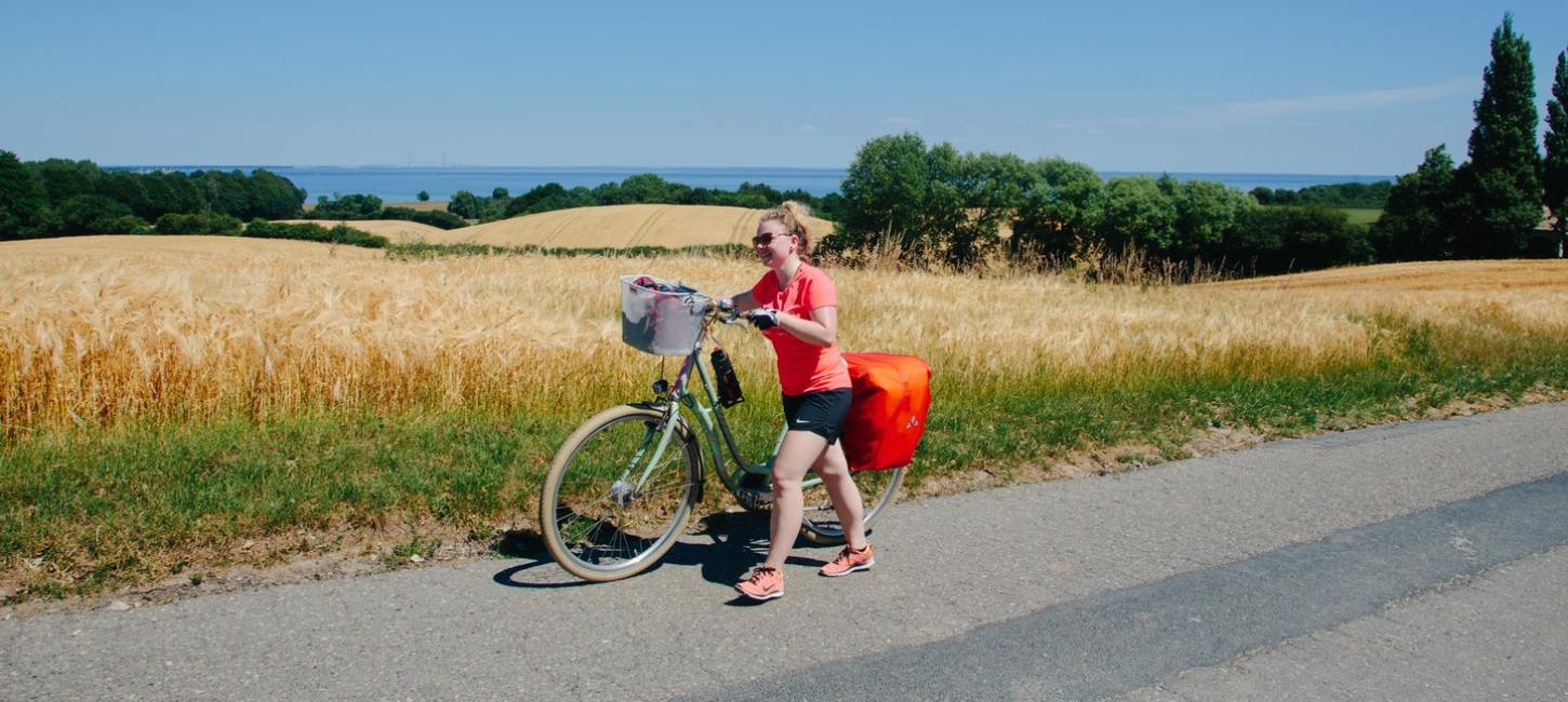 fahrrad dänemark